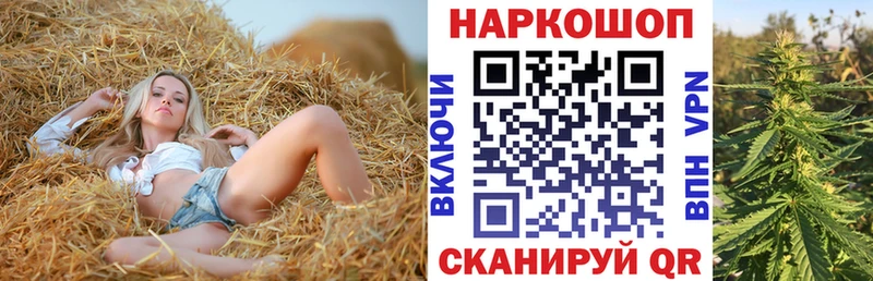 Какие есть наркотики Венёв ГАШИШ  A-PVP  Мефедрон 