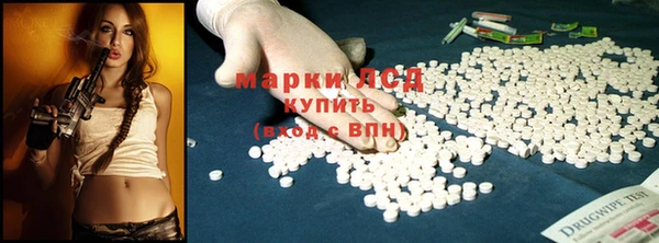 ECSTASY Алзамай