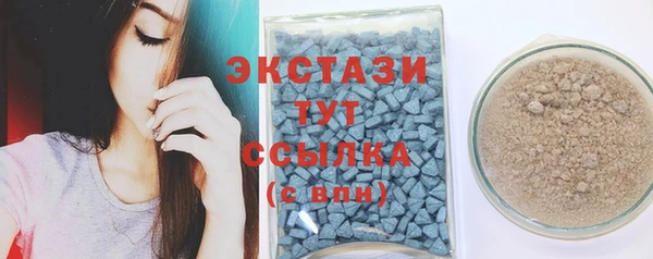ECSTASY Алзамай